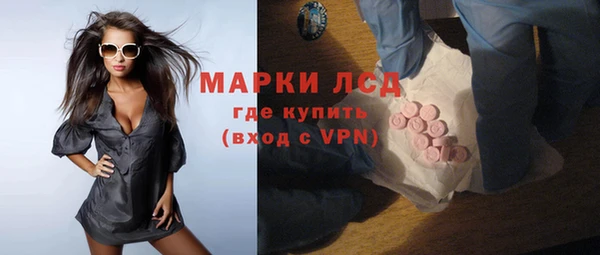 твердый Заводоуковск