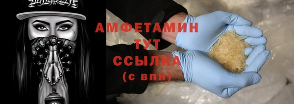 твердый Заводоуковск