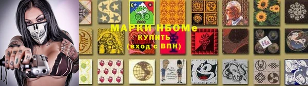 твердый Заводоуковск