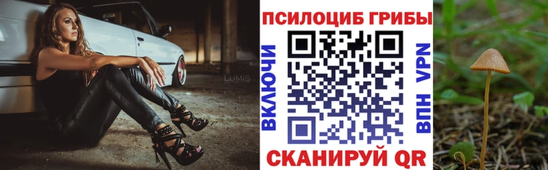 Галлюциногенные грибы GOLDEN TEACHER Купить Кубинка